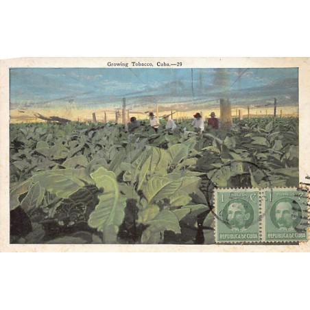 Rare collectable postcards of Cuba. Vintage Postcards of Cuba