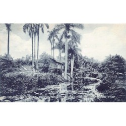 Rare collectable postcards of Cuba. Vintage Postcards of Cuba