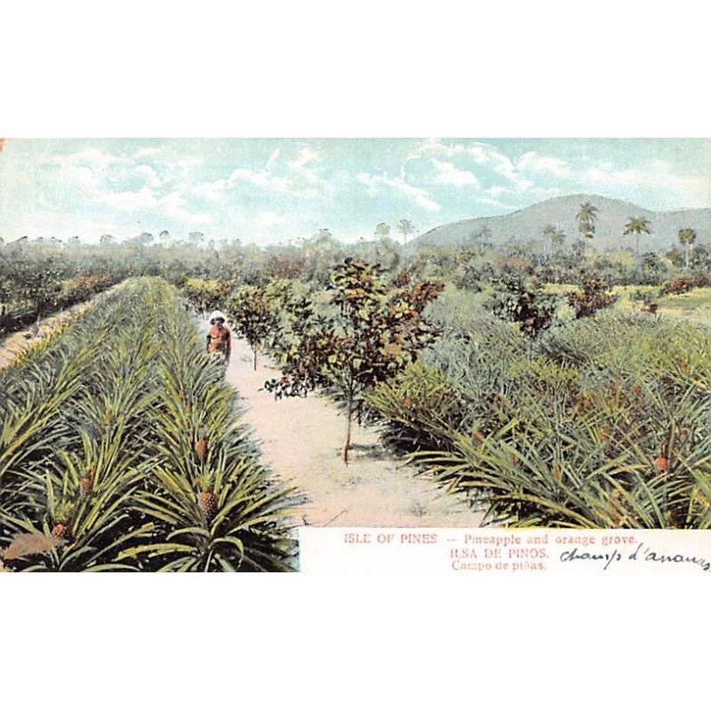 Rare collectable postcards of Cuba. Vintage Postcards of Cuba