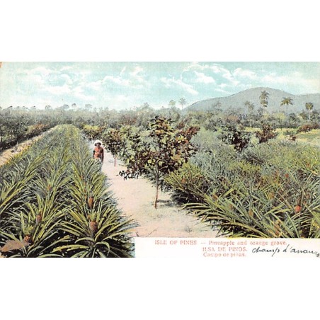Rare collectable postcards of Cuba. Vintage Postcards of Cuba