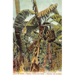 Rare collectable postcards of Cuba. Vintage Postcards of Cuba