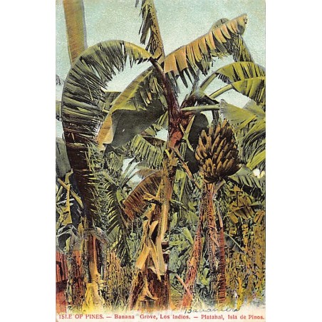 Rare collectable postcards of Cuba. Vintage Postcards of Cuba