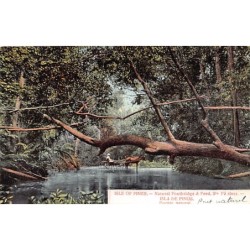 Rare collectable postcards of Cuba. Vintage Postcards of Cuba