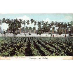 Rare collectable postcards of Cuba. Vintage Postcards of Cuba