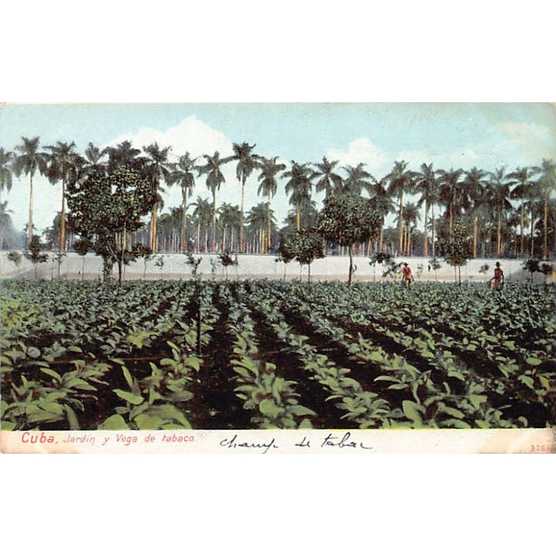 Rare collectable postcards of Cuba. Vintage Postcards of Cuba