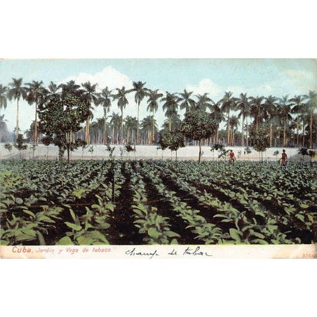 Rare collectable postcards of Cuba. Vintage Postcards of Cuba