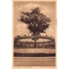 Rare collectable postcards of Cuba. Vintage Postcards of Cuba