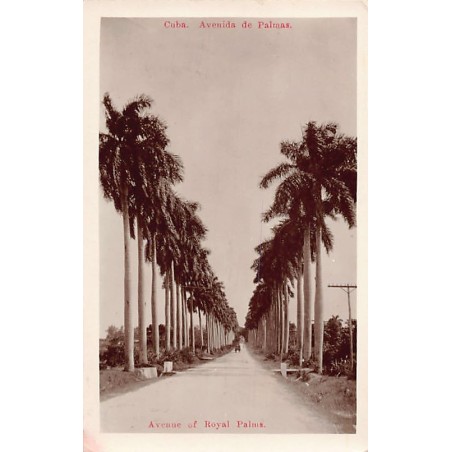 Rare collectable postcards of Cuba. Vintage Postcards of Cuba