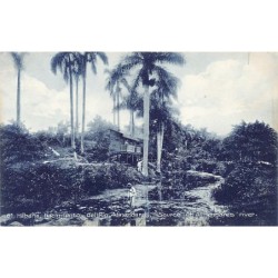 Rare collectable postcards of Cuba. Vintage Postcards of Cuba