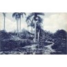 Rare collectable postcards of Cuba. Vintage Postcards of Cuba