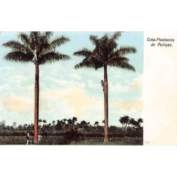 Rare collectable postcards of Cuba. Vintage Postcards of Cuba