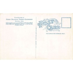 Rare collectable postcards of Cuba. Vintage Postcards of Cuba