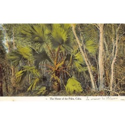 Rare collectable postcards of Cuba. Vintage Postcards of Cuba