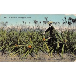 Rare collectable postcards of Cuba. Vintage Postcards of Cuba