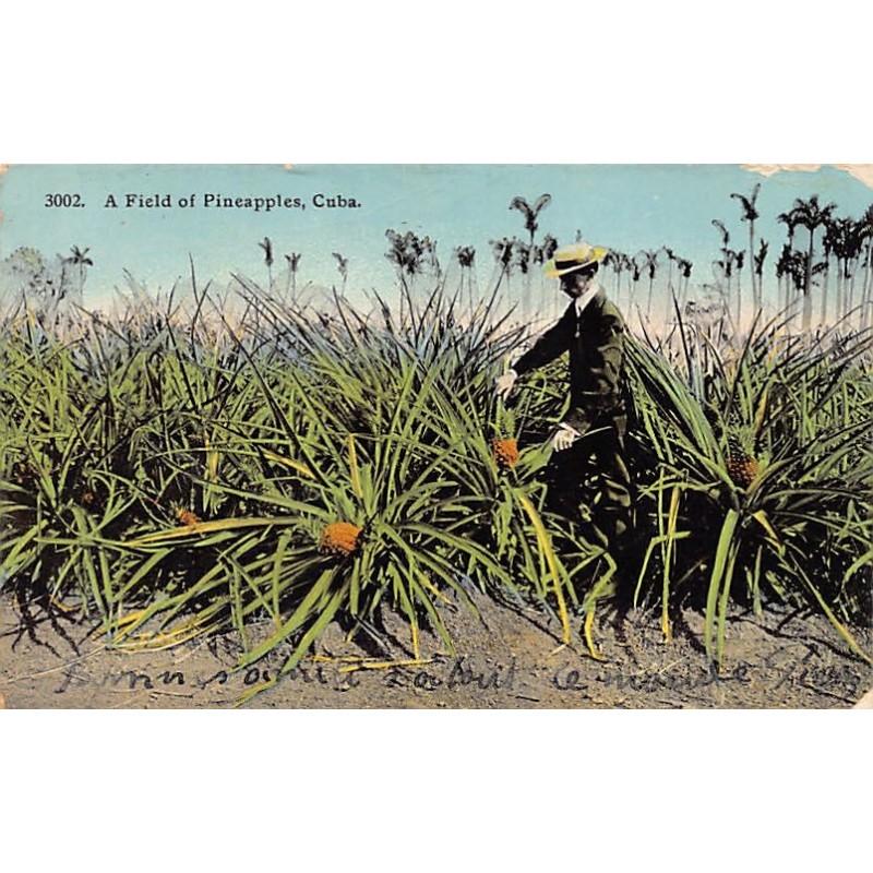 Rare collectable postcards of Cuba. Vintage Postcards of Cuba