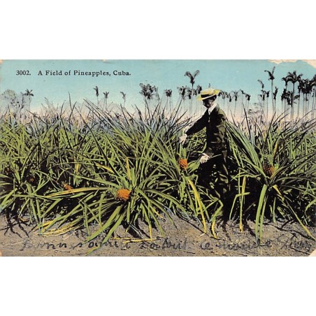 Rare collectable postcards of Cuba. Vintage Postcards of Cuba