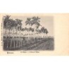 Rare collectable postcards of Cuba. Vintage Postcards of Cuba