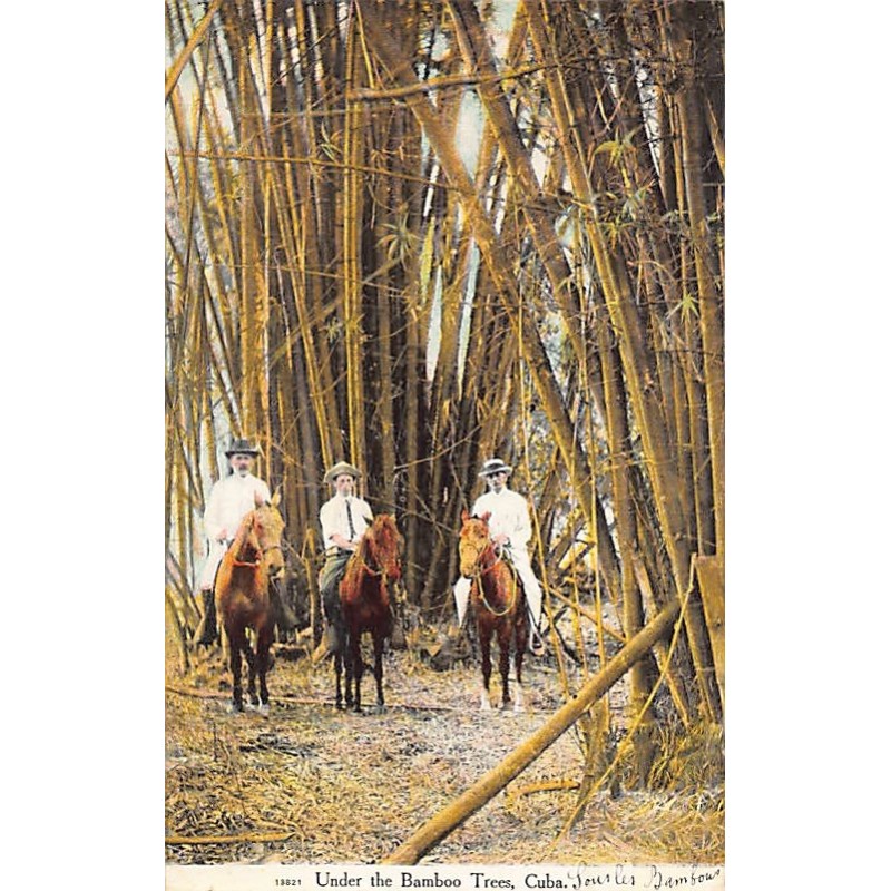 Rare collectable postcards of Cuba. Vintage Postcards of Cuba