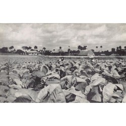 Rare collectable postcards of Cuba. Vintage Postcards of Cuba