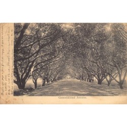 Rare collectable postcards of India. Vintage Postcards of India