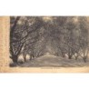 Rare collectable postcards of India. Vintage Postcards of India
