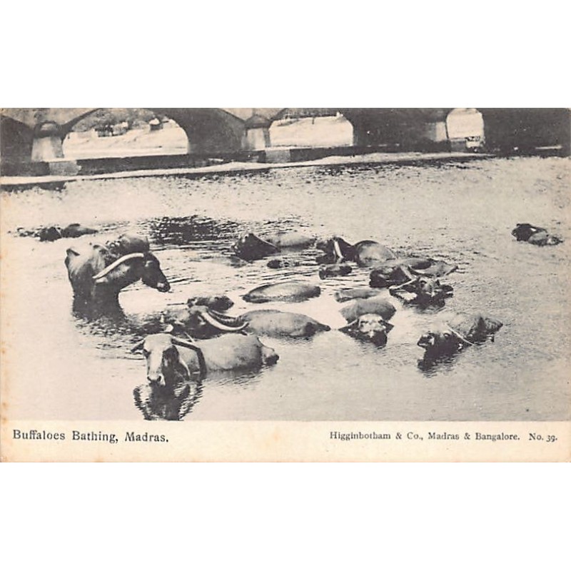 Rare collectable postcards of India. Vintage Postcards of India