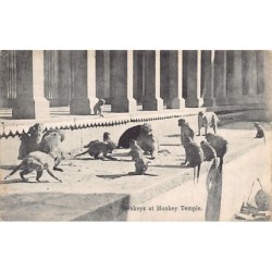 Rare collectable postcards of India. Vintage Postcards of India