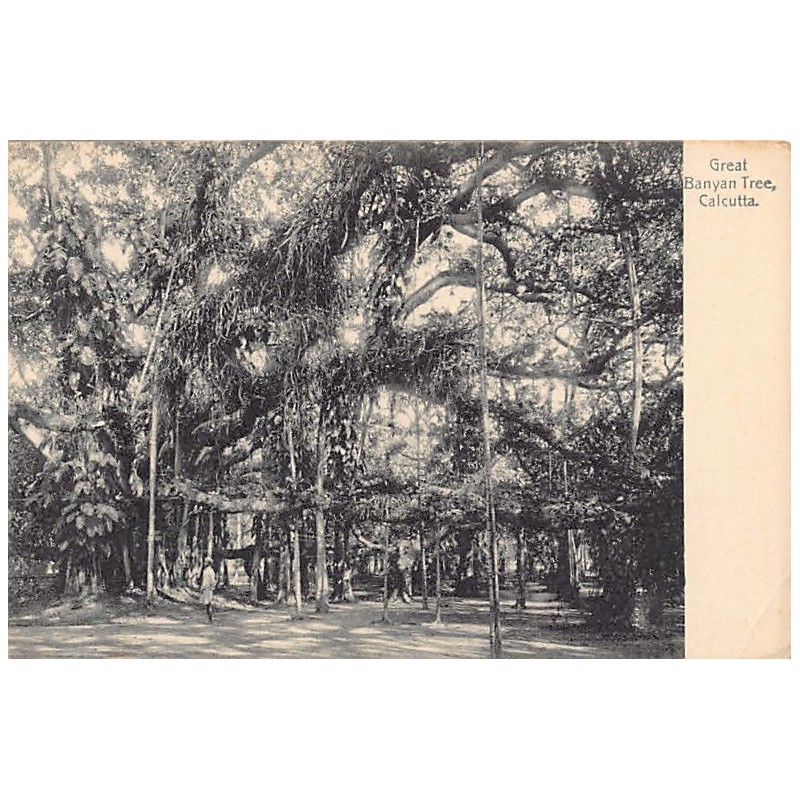 Rare collectable postcards of India. Vintage Postcards of India