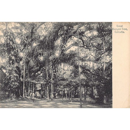 Rare collectable postcards of India. Vintage Postcards of India