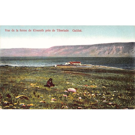 Rare collectable postcards of Israel / Palestine. Vintage Postcards of Israel / Palestine