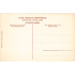 Rare collectable postcards of Sri Lanka (Ceylon). Vintage Postcards of Sri Lanka (Ceylon)