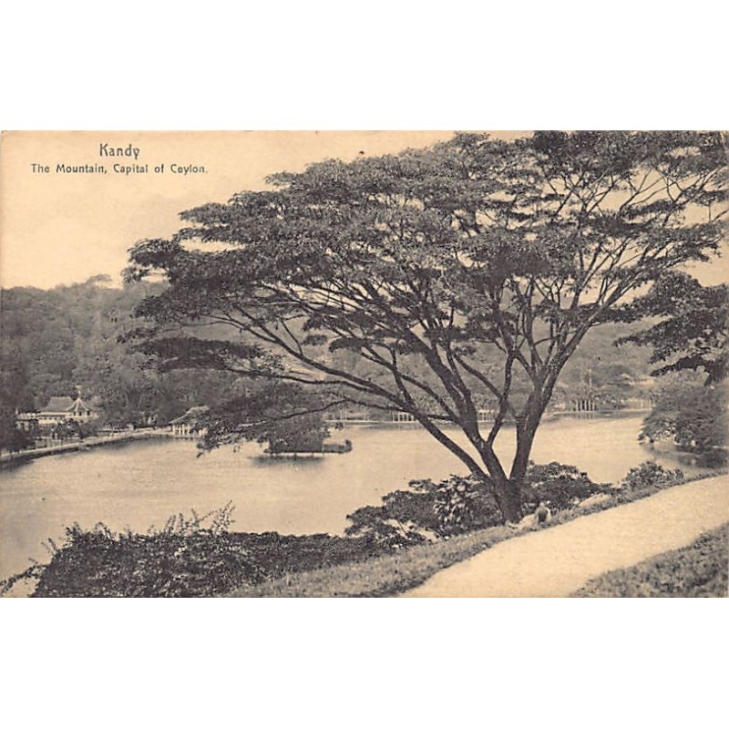 Rare collectable postcards of Sri Lanka (Ceylon). Vintage Postcards of Sri Lanka (Ceylon)