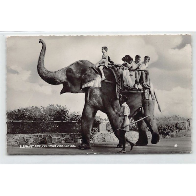 Rare collectable postcards of Sri Lanka (Ceylon). Vintage Postcards of Sri Lanka (Ceylon)