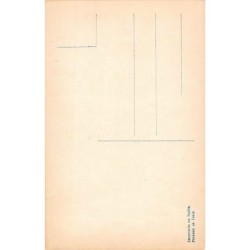 Rare collectable postcards of ITALIA Italy. Vintage Postcards of ITALIA Italy