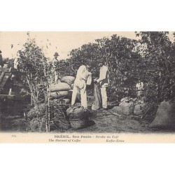 Rare collectable postcards of Brazil. Vintage Postcards of Brazil