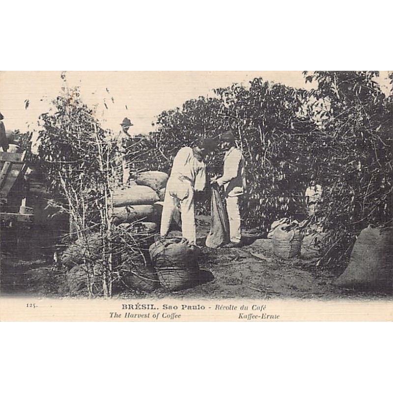 Rare collectable postcards of Brazil. Vintage Postcards of Brazil