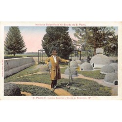 Rare collectable postcards of Brazil. Vintage Postcards of Brazil