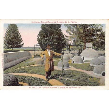 Rare collectable postcards of Brazil. Vintage Postcards of Brazil