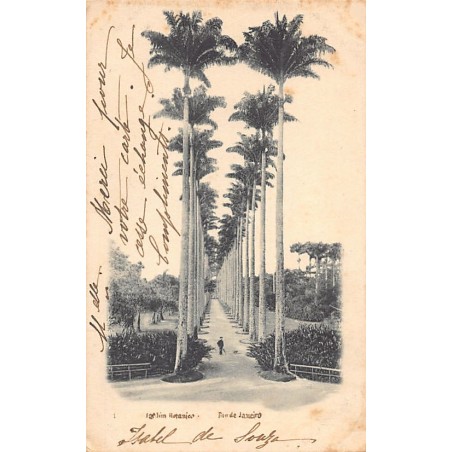 Rare collectable postcards of Brazil. Vintage Postcards of Brazil