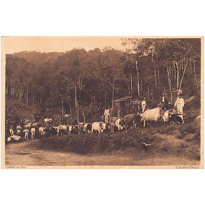 Rare collectable postcards of Brazil. Vintage Postcards of Brazil