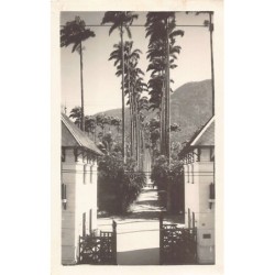 Rare collectable postcards of Brazil. Vintage Postcards of Brazil