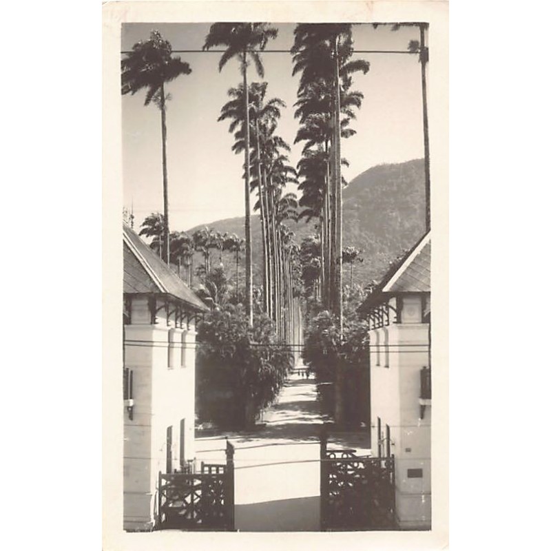 Rare collectable postcards of Brazil. Vintage Postcards of Brazil