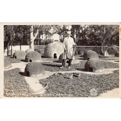 Rare collectable postcards of Brazil. Vintage Postcards of Brazil