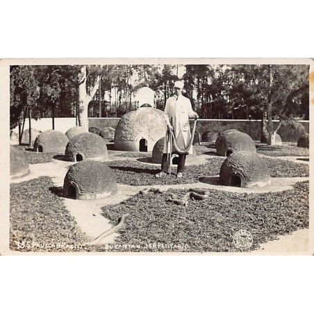 Rare collectable postcards of Brazil. Vintage Postcards of Brazil