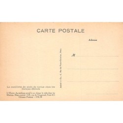 Rare collectable postcards of Brazil. Vintage Postcards of Brazil