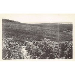 Rare collectable postcards of Brazil. Vintage Postcards of Brazil