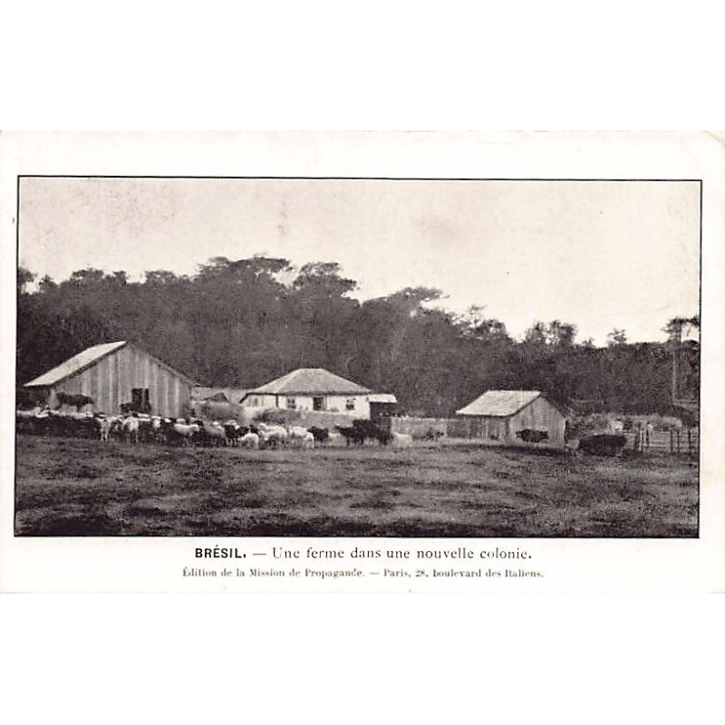 Rare collectable postcards of Brazil. Vintage Postcards of Brazil