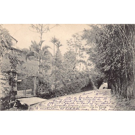 Rare collectable postcards of Brazil. Vintage Postcards of Brazil