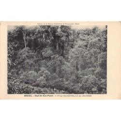 Rare collectable postcards of Brazil. Vintage Postcards of Brazil