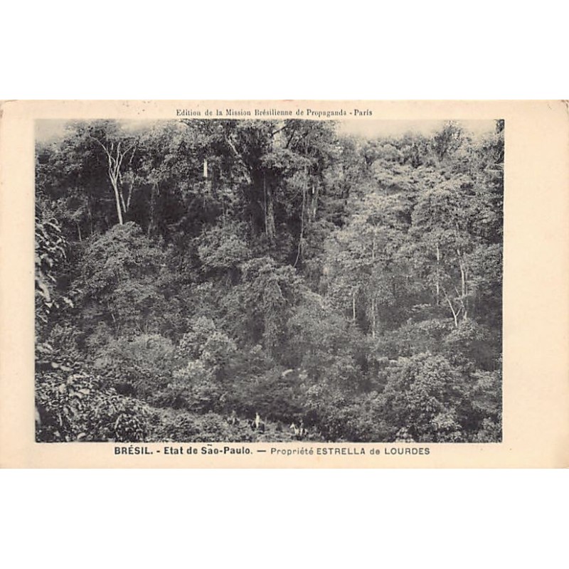 Rare collectable postcards of Brazil. Vintage Postcards of Brazil